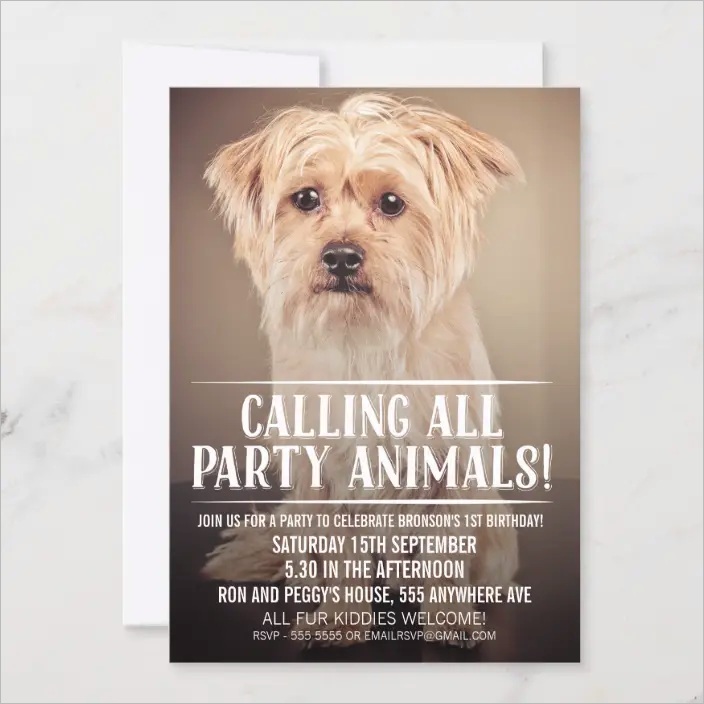 pet puppy dogs party photo invite