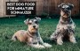 Best Dog Food For Miniature Schnauzers With Allergies