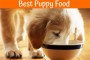 Best Food For Chow Puppy