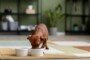 Can You Microwave Dog Food