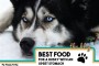 Best Food For Husky With Sensitive Stomach
