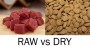 Dry Vs Raw Dog Food