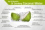 Coconut Water Benefits For Dogs