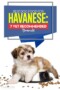 Havanese Dog Food