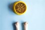 Benefits Of Soaking Dry Dog Food