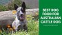 Best Dog Food For Australian Cattle Dog