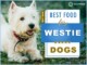 Best Food For West Highland Terrier