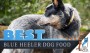 Best Dry Dog Food For Australian Cattle Dog
