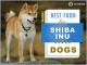 Best Dog Food For Shiba Inu