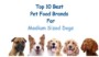 Best Food For Medium Dogs
