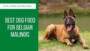 What Is The Best Dog Food For Belgian Malinois