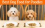 Best Dog Food For Mini Poodle