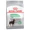 Royal Canin Digestive Care Large Dog