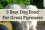 Homemade Dog Food For Great Pyrenees