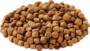 Best Dog Food For Coprophagia