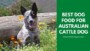 Australian Cattle Dog Best Food