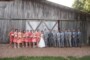 Coral And Grey Wedding Reception