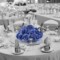 Wedding Table Decorations Blue