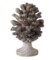 Table Decorations With Pine Cones
