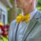Yellow And Gray Bow Tie