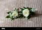Boutonniere For Groom And Groomsmen
