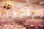 Pink Wedding Reception Decorations