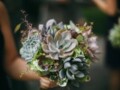 Succulent Wedding Bouquets