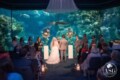 Coral And Teal Wedding