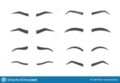 How To Draw An Eyebrow Arch