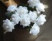 White Roses Centerpieces
